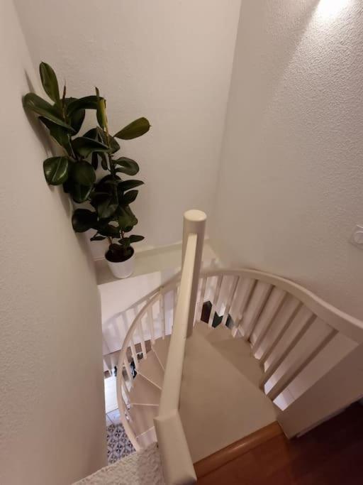 Le Dali-Duplex Au Pied De Castillet Perpignan Exterior photo